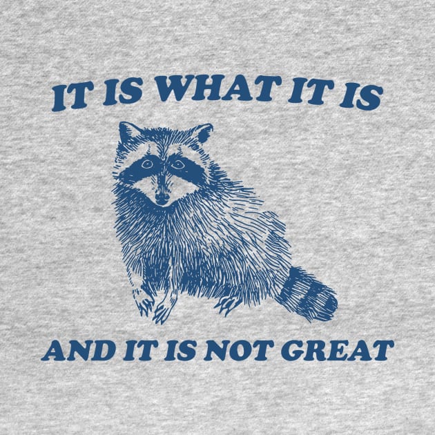 It Is What It Is And It Is Not Great, Funny Sweatshirt, Raccoon Sweatshirt, Cartoon Meme Top, Vintage Cartoon by CamavIngora